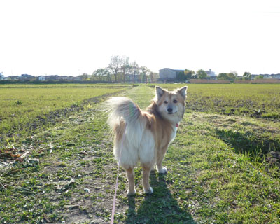 �c�A���͋߂�