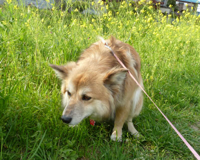 ������ʂ��̂͂��܂ł��낤