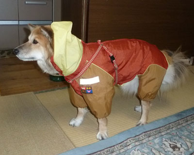 �������ɂ��Ȃ�