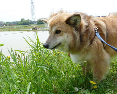 �c��ڂɐ�����������