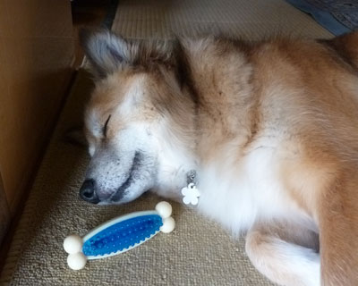 �����Q������