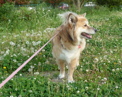 �^���|�|���ӂ�ӂ��