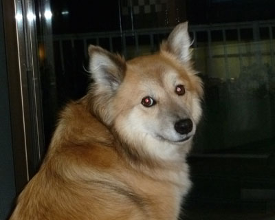 �O�ɏo�����񂾂���