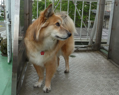 �����s������̊�