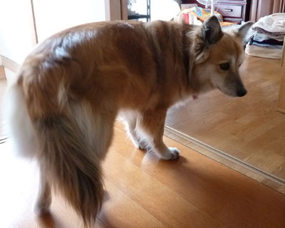 ����ς�p��