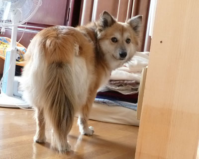 �����ۂ�������