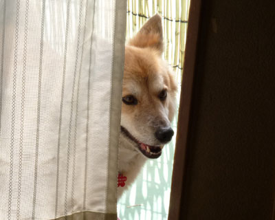 �����J���������H