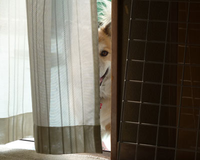 �����Ă�Ƃ��̊�