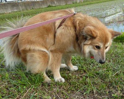 �g�C���͎���������