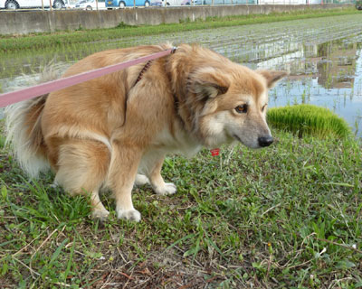 �c�A���͍ς񂾂݂�������