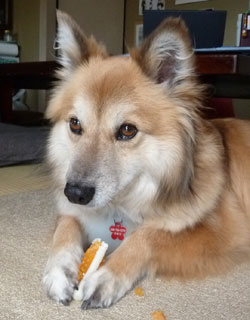 ���܂Ɏ��������猌���o��