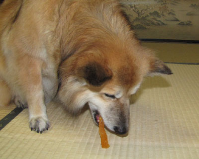 ���߂Ă�������T�c�}�C������͋C�ɓ�����