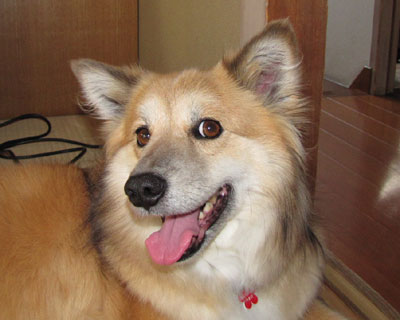 �����Ǝv���Ă��̂ɐ^�ē�����