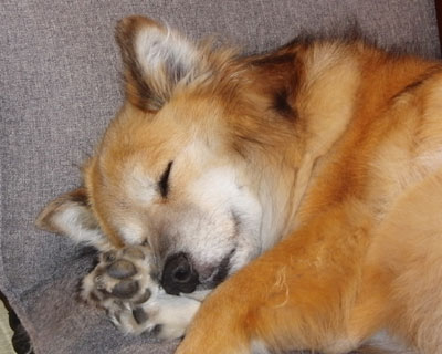 �r���Ǝv�����瑫���������Ă�