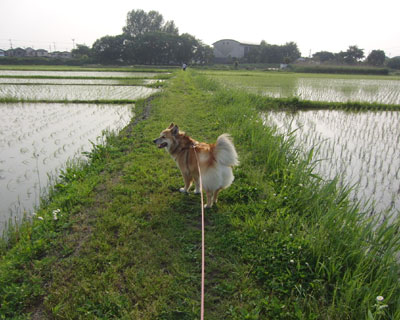 ���N�̏t�͊�������