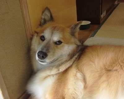 �G��Ƃ��񂾂񔽂��Ă���