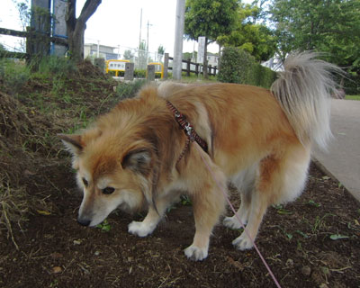 �@�肠�Ƃ͏L���񂾂�