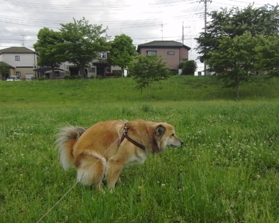 ���������~�J����