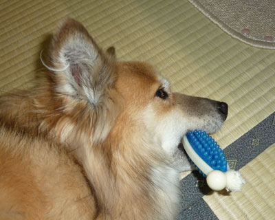 ��������Ɩ����Ȃ�