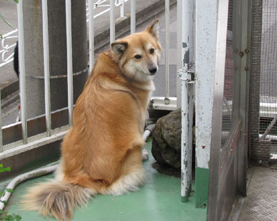 �����Ō�����