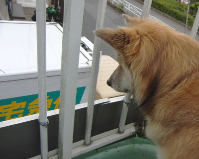 ���̎Ԃ͌���