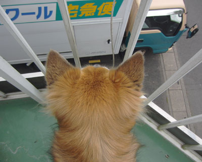 �o�čs���܂ł�����ƌ�����