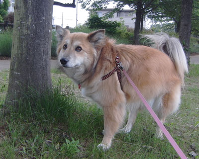 �J���~�肻����