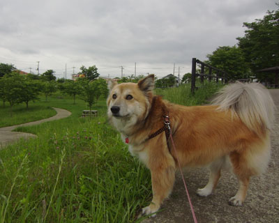 �������������_