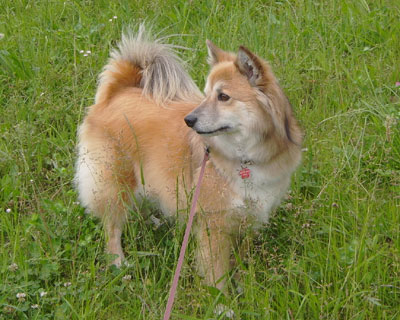 ���̎����A�����L�т�̂�����