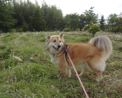 ����Ƒ�����