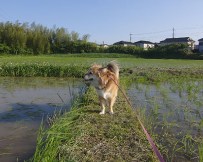 �����������Ƃ�����Ƃ��킢