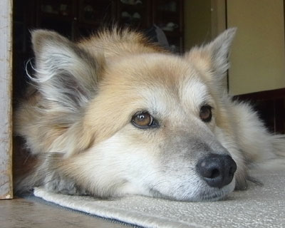 �������������