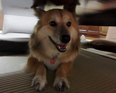 ���ɗ��V�[�Y����