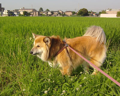 �������̂��Ǝv������A��L�тĂ�����