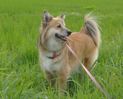 ���N�͔~�J�����Ȃ���