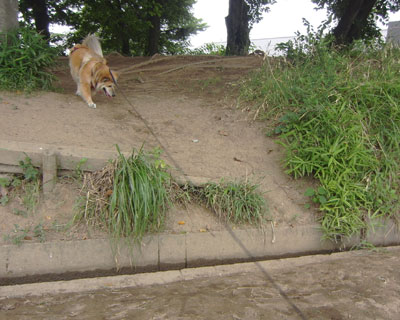 ��������ȂĂ�