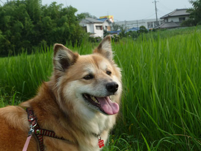 �V���ɂȂ��ēˑR�̖ҏ�