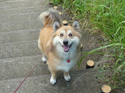 �Ă��؂�ɂ��������u�Q���Ƀr�r�����炵��