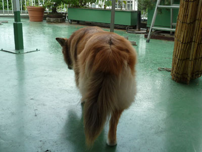 ���N�̗[���͂���ڂ�