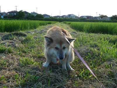 �U���͂����[���