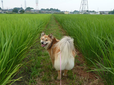 �c��ڂ������Č��Ԃ�������