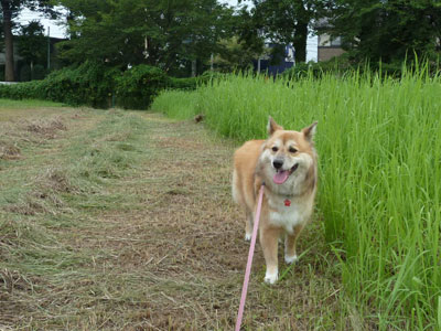 ���������N�͏�����