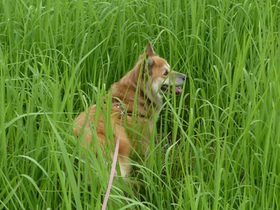 ������Ƒ{����