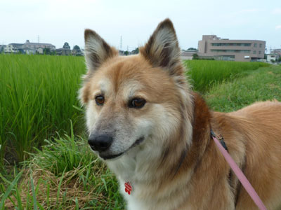 �Ȃ񂩓����Ȃ���ł�����