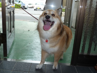 �����������Ă���