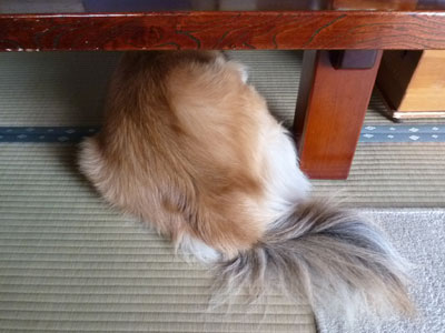 ��ʒu�ɔ��