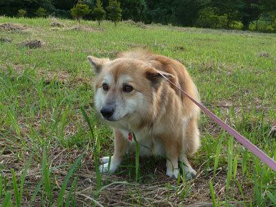 ������@�͐΂���Ԃ���C�����Ă�