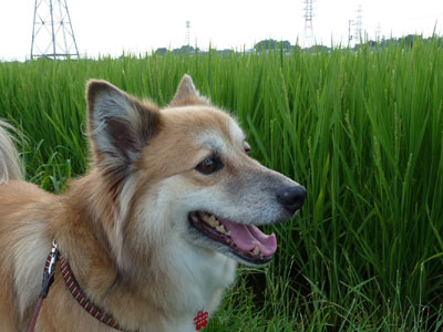 �����������炷���Ƀz���o�Ă���