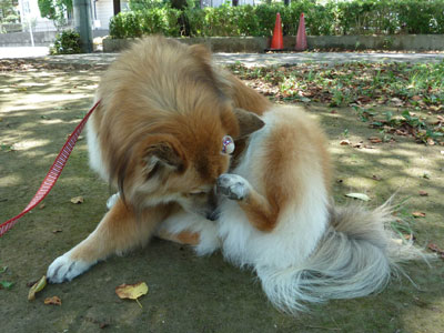 �S�g����ُL��