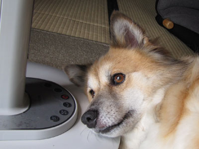 ��@�𖍂ɂ���Ɨ������Ȃ���